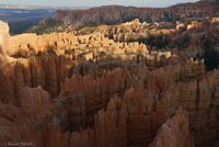Bryce Canyon N.P. (2)-2